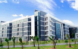 廈門理工學院軟件工程學院的專業介紹